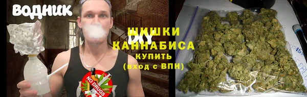 PSILOCYBIN Балахна