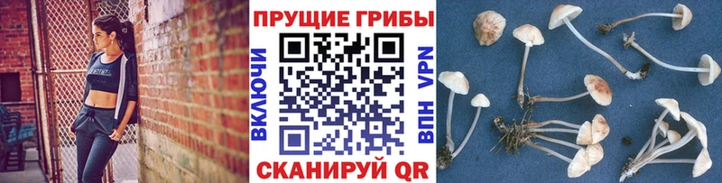 hydra зеркало  Верхнеуральск  Псилоцибиновые грибы мухоморы 